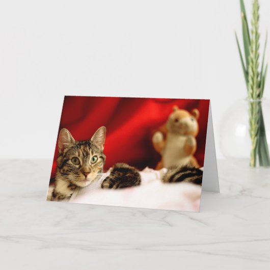 Pet Cat Kerst Kaart (Voorkant)