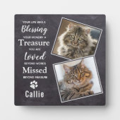 Pet Cat Memorial Fotoplaat (Voorkant)