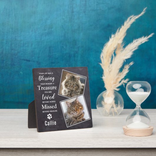 Pet Cat Memorial Fotoplaat (Insitu)