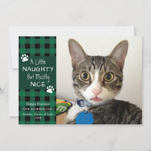 Pet Cat Naughty en Nice Green Black Pset Feestdagenkaart