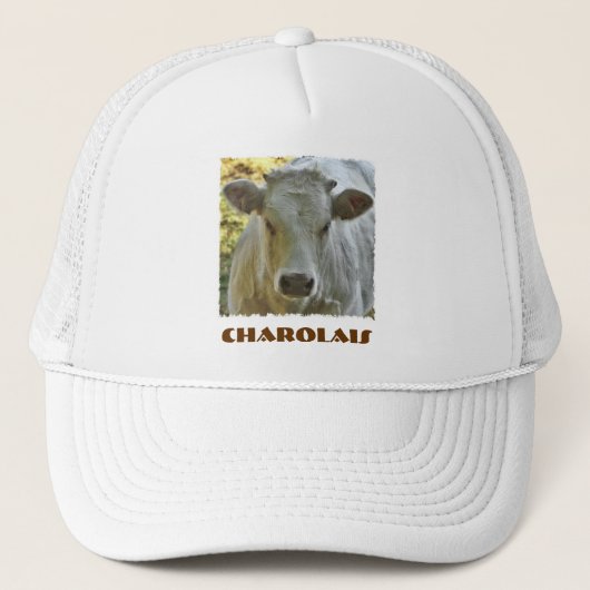 Pet Charolais (Voorkant)