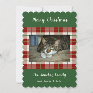 Pet Chat Chien vacances Noël Appartement Carte pho