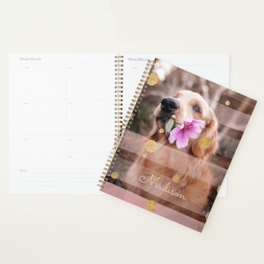 Pet Chien Photo Pink Ruban Chic Gold Parties scint (Devant avec enveloppe)