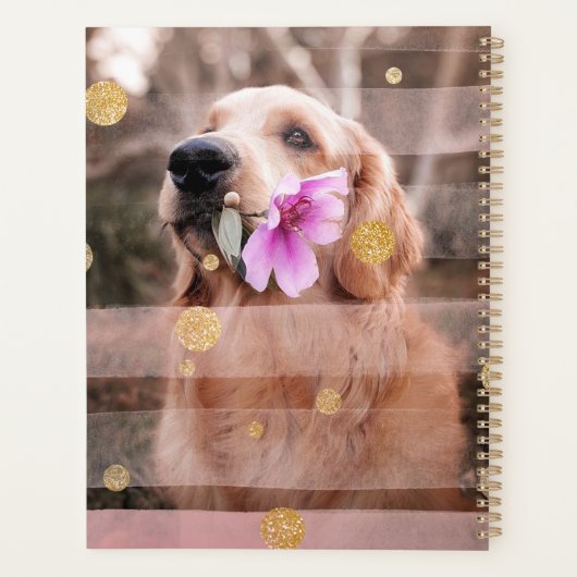 Pet Chien Photo Pink Ruban Chic Gold Parties scint (Dos)