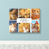 Pet Collage Foto Moderne Kat Quote Canvas Afdruk (Insitu (Houten vloer))