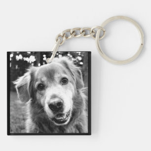 Pet Collectie - De vele gezichten van Honden Sleutelhanger