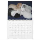 Pet Cute Kitten Cat Peace Love Destiny Kalender (Mar 2026)