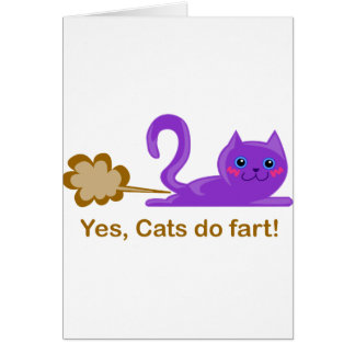 Pet de chat - chat de péter