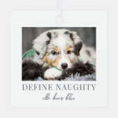 Pet Definieer Ondeugende Hond Foto Kerstmis Metalen Ornament (Voorkant)