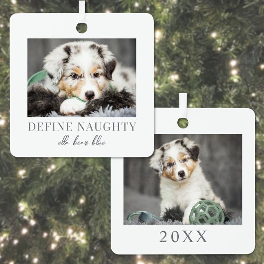 Pet Definieer Ondeugende Hond Foto Kerstmis Metalen Ornament