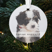 Pet Définir Naughty | Arbre de Noël photo