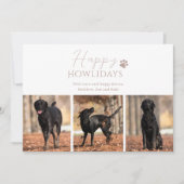 Pet Dog 3 Foto van Kerstmis Feestdagenkaart (Voorkant)