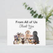 Pet Dog Adoption Secourt Merci Cartes (Debout devant)