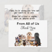 Pet Dog Adoption Secourt Merci Cartes (Devant / Derrière)