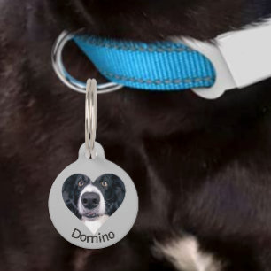 Pet Dog Cat Heart Photo past ID Lost aan Huisdierpenning