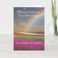 Pet Dog Cat Rainbow Bridge Sympathie