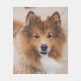 Pet Dog Corgi Canine Breed Fleece Deken