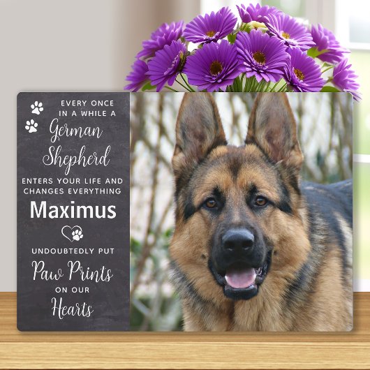Pet Dog German Shepherd Memorial Fotoplaat