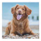 Pet Dog Memorial Foto Cube Kubus (Voorkant)