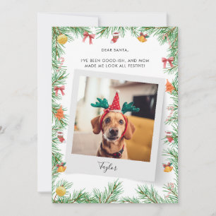 Pet Dog Photo Naughty of Nice Custom Christmas Feestdagenkaart