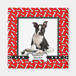 Pet Dog Portret Foto Sjabloon Magnet Magneet