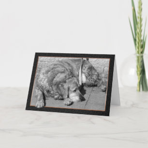 Pet Dog Sympathy Card Kaart