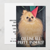 PET DOG'S BIRTHDAY PARTIJ FOTO INVITE KAART (Voorkant / Achterkant)