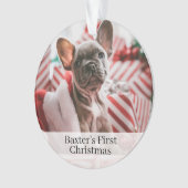 Pet Dogs First kerstfoto Ornament (voorkant)