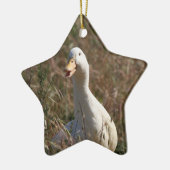 Pet Duck Ornament (Links)