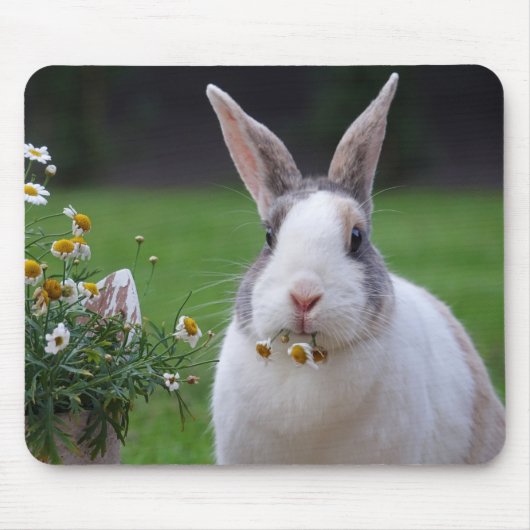 Pet Dutch Bunny Rabbit met Flowers Muismat (Voorkant)