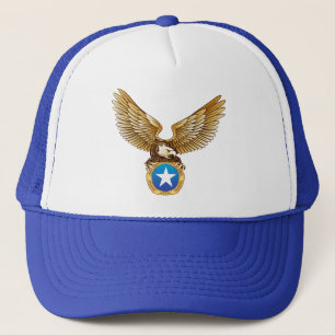 Pet Eagle wings Independence Day