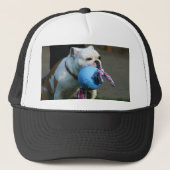 Pet Engelse Bulldog (Voorkant)