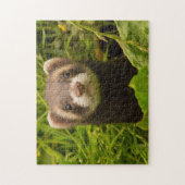 Pet Ferret in de gras Legpuzzel (Verticaal)