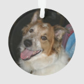 Pet FIRST CHRISTMAS 2 Photo Rouge & Noir Plaid (dos)