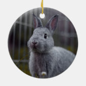 Pet FIRST CHRISTMAS-foto geplaatst op persoonlijke Keramisch Ornament (Achterkant)