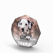 Pet-foto aangepast fotoblokken (Rechts)