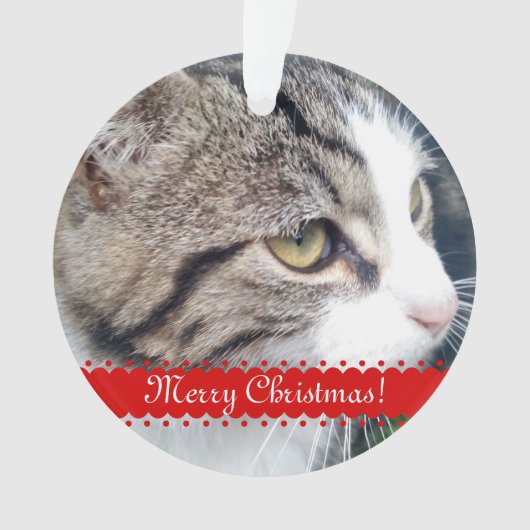 Pet-foto kerstversiering | Upload je afbeeldingen Ornament (voorkant)