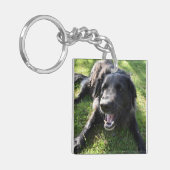 Pet Foto Monogram Naam Initiaal Blauw Groen Sleutelhanger (Voorkant Links)