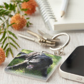 Pet Foto Monogram Naam Initiaal Blauw Groen Sleutelhanger (Voorkant Rechts)