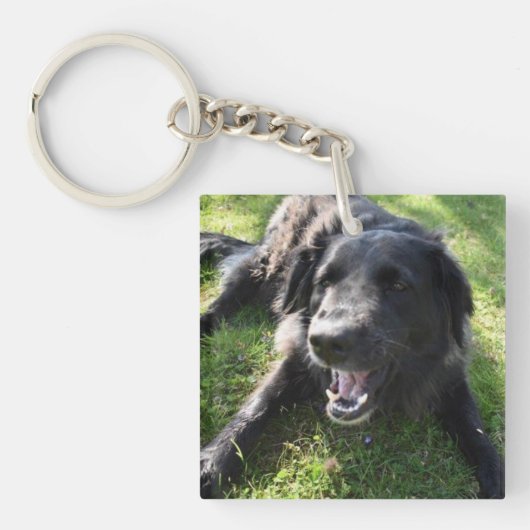 Pet Foto Monogram Naam Initiaal Blauw Groen Sleutelhanger (Voorkant)