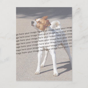 PET-foto ✨ Mooie op maat gemaakte foto Briefkaart