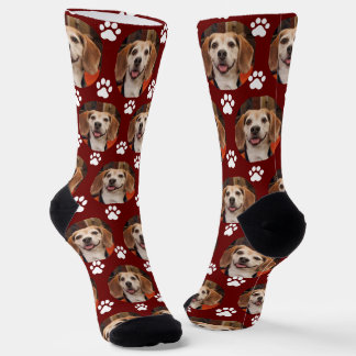 Pet foto's en schilderafdrukken Dog of Cat Maroon Sokken