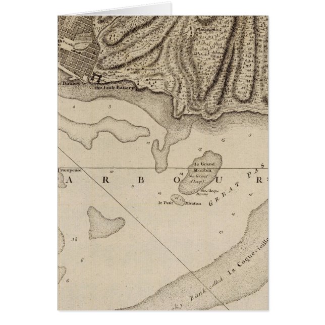 Pet Francois (Voorkant)