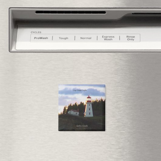 Pet Gaspe Light-magneet Magneet (Insitu (Vaatwasser))