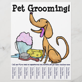 Pet Grooming. Flyer