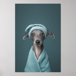 Pet Grooming Salon Italiaanse Windhond Portret Poster