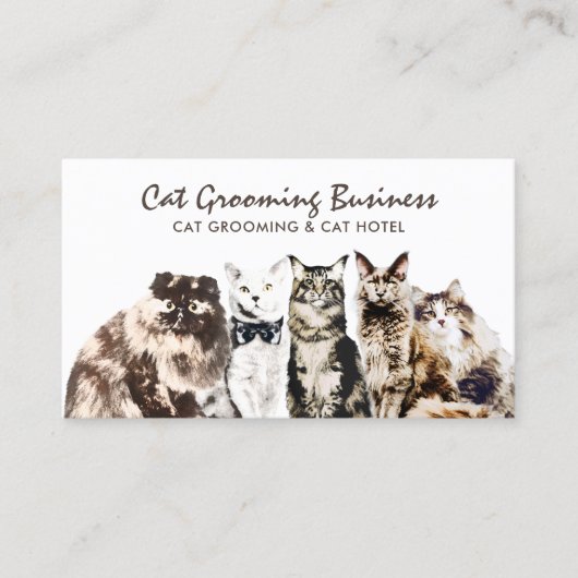 Pet Grooming Salon Spa Cats Visitekaartje (Voorkant)