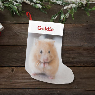 Pet Hamster Lover Foto & Name Persoonlijk Kleine Kerstsok