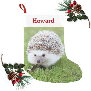 Pet Hedegel Lover Eigenaar Foto & Name Persoonlijk Kleine Kerstsok