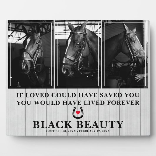 Pet Horse Loss | Paard 3 Foto Memorial Plaque Fotoplaat (Voorkant)